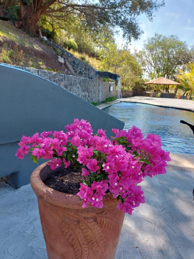 Отель Vida Aventura Ranch Танкес Экстерьер фото