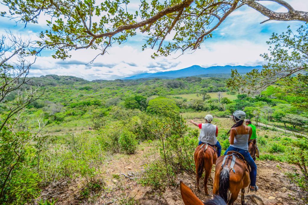 Отель Vida Aventura Ranch Танкес Экстерьер фото