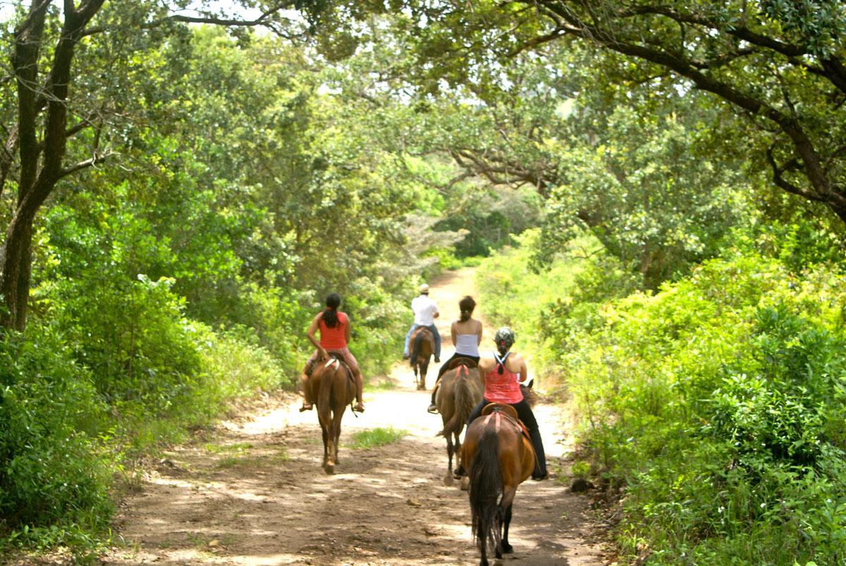 Отель Vida Aventura Ranch Танкес Экстерьер фото